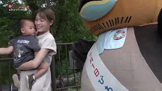 2026/7/30放送・知ったかぶりカイツブリにゅーす