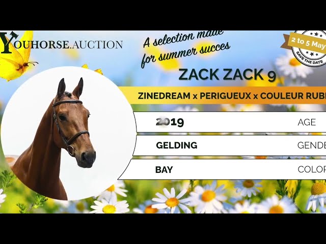 Zack Zack showvideo