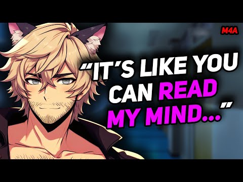 Bully X Reader