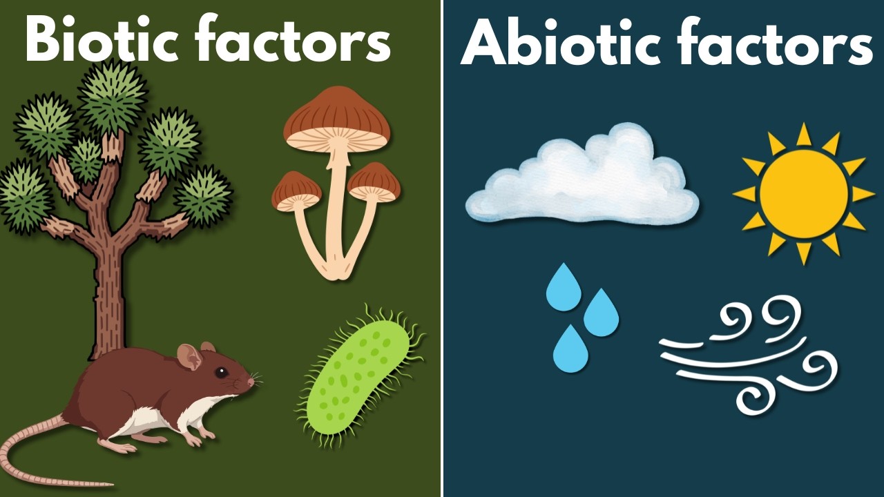 Biotic and abiotic factors | Middle school Earth and space science | Khan Academy
