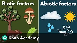 Biotic and abiotic factors | Middle school Biology | Khan Academy