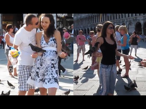 Pigeons at St. Mark's Square (Piazza San Marco), Itlay. Travel Tips for a Short visit