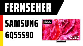 Fernseher Samsung GQ55S90CATXZG | TEST | Deutsch