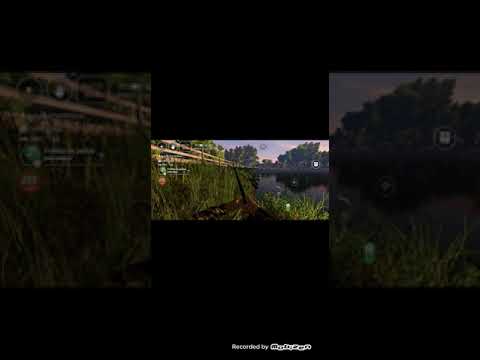 UM NOVO COMEÇO DE TUDO ( saga: o recomeço.)