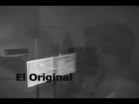 EL ORIGINAL  507 - FREE STYLE