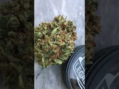 ORANGE BUD INDOOR BY LEGAL WEED