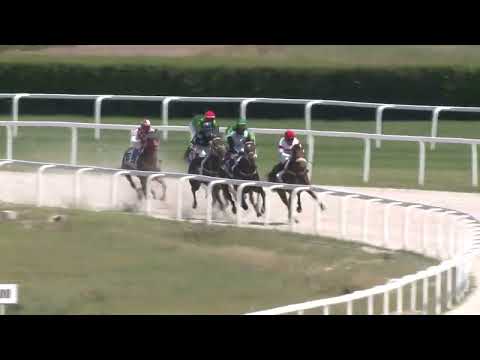 2022.06.12. 02. futam - TATAI DÍJ (IV.kat.) (szintetikus pálya)