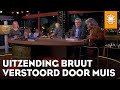 Uitzending De Oranjezomer bruut verstoord door muis | DE ORANJEZOMER