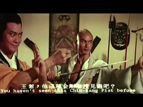 Gordon Liu and Adam Cheng vs Johnny Wang in Shaolin VS Wu Tang (1983)
