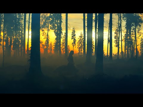 Don't Run - Fabrizio Parisi x The Editor x ALMA