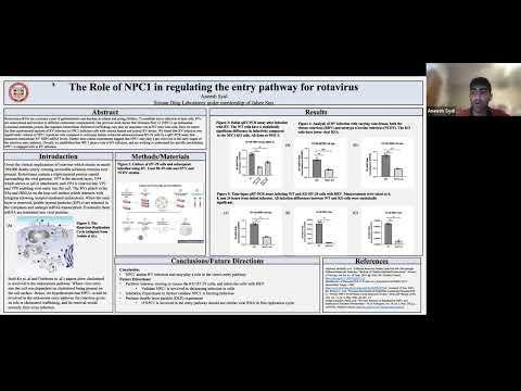 <p class="ql-align-center">The role of NPC1 in regulating the entry pathway for rotavirus </p>