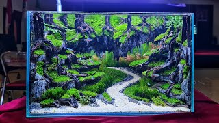 Banyuwangi Aquascape contest 2021 "class Advance"
