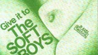 Give It To The Soft Boys