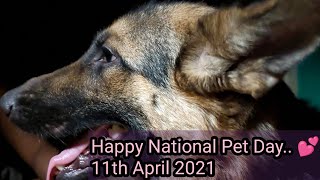 Happy National Pet Day 2021 | National Pet Day | when is national pet day celebrated | Pets