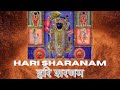 hari sharanam | हरि शरणम हरि शरणम भजन #harisharanam