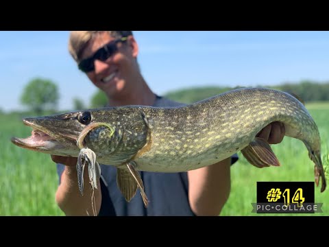 Dieser Prototyp fängt die Dicken! - Hechtangeln im kleinen Fluss