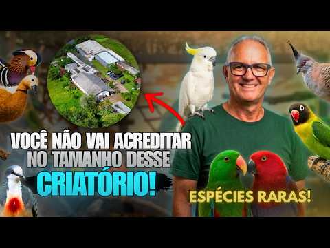 VOCÊ NÃO VAI ACREDITAR NO TAMANHO DESSE CRIATÓRIO DE AVES!