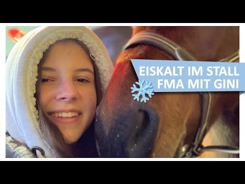 Eiskalt im Stall ❄️ FMA mit Gini