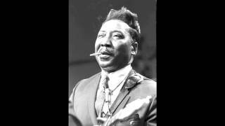 Muddy Waters - Lovin' Man