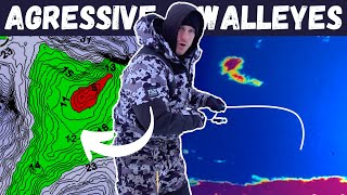 Jigging AGGRESSIVE Walleyes on Shallow Structure | Garmin LiveScope LVS34