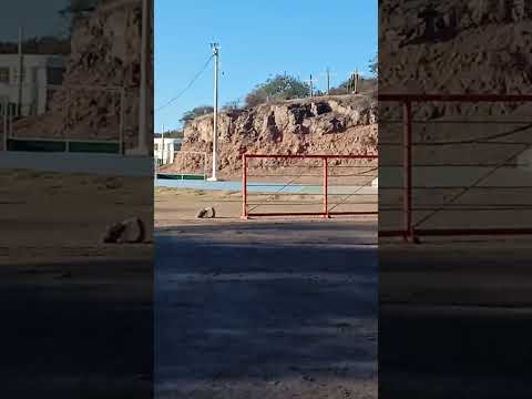 caminata por la ciudad #vallefertil #sanjuan
