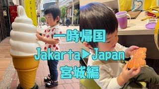 2歳になる息子とジャカルタから日本へ一時帰国(宮城編)