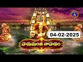 Rathasaptami Special Hanumantha Vahanam Tirumala 04 02 2025 SVBC TTD