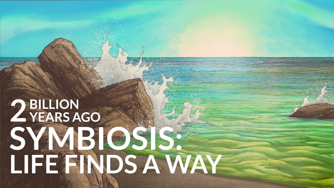 How Did Life Recover From The First Mass Extinction?