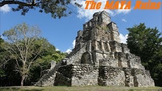 preview picture of video 'Mayan Civilization: The MAYAN Ruins in Muyil Mexico Archaelogical Site'