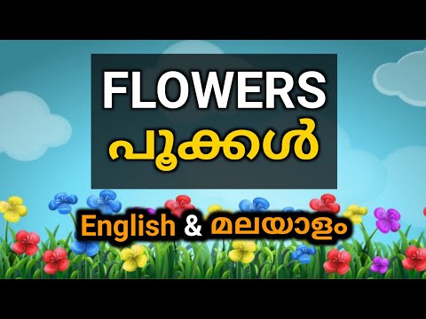 Learn Flowers Name | Flowers in English and Malayalam | Renjusmediatech