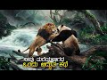 Panda Bear In Africa Movie Explained In Kannada Family Action Comedy Animation Adventure Movie