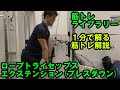 【１分で解る筋トレ解説】ロープトライセップスエクステンション※プレスダウン【筋トレライブラリー】