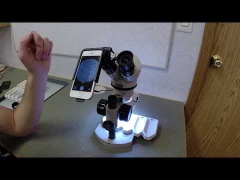 Magnifi Iphone Photoadapter Product Review