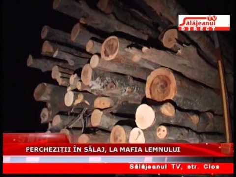 PERCHEZITII IN SALAJ, LA MAFIA LEMNULUI