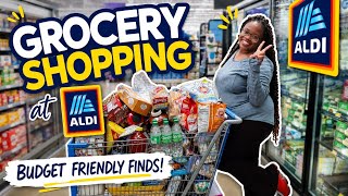 Healthy ALDI Grocery shopping for weight loss | See our prices in Mississippi | Shop with me 