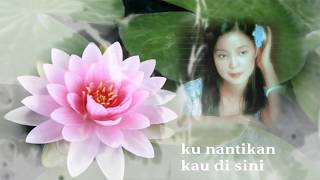 Download lagu Teratai  印尼版 [ 想你想斷腸 ]   Teresa Teng / 鄧麗君 mp3