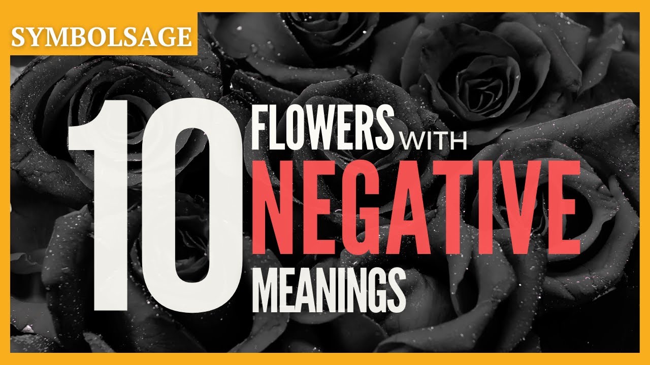 10 Flowers with Negative Meanings | SymbolSage