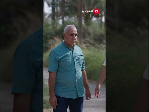 شاهد بالفيديو.. بساتين العراق لونها ابيض على خرائط كوكل! #العراق #shorts