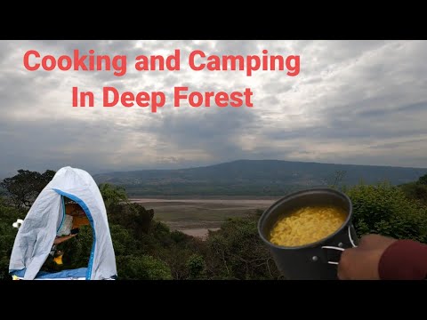 📍 Camping In Deep Forest 🏕️ Katra Vlog J&K :  Ep02   #solotraveltracker