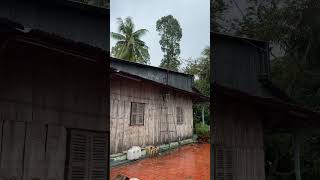 Fresh Air After the Heavy Rain
