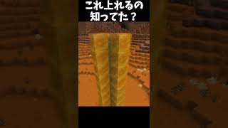 高速水流式エレベーター！#Minecraft #shorts  #lyrics #montagem