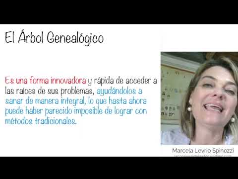 Video explicativo