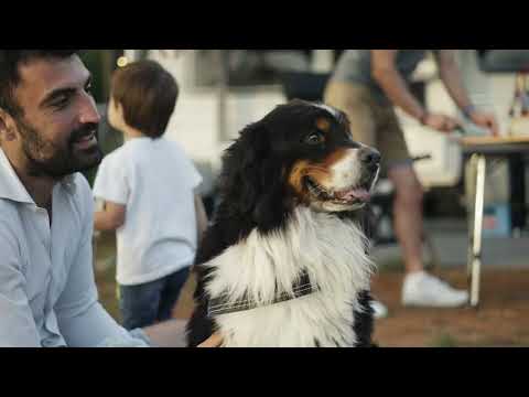 BiVillage & Bi Dog Beach