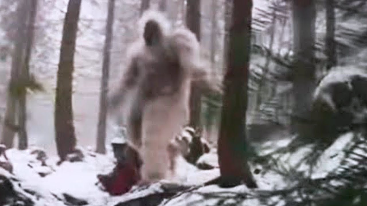 O Que Foi Capturado na Rússia Chocou o Mundo Inteiro