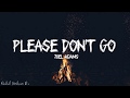 Joel Adams Please Don T Go Lyrics
