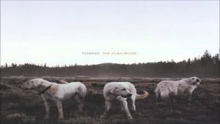 Foxing - Bit By A Dead Bee Pt. II (2013)