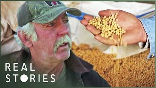 The Farmer Who Took On Monsanto (David Vs. Goliath Documentary) | Real Stories