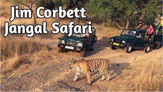 preview picture of video 'Silver and above trip jim corbett national park'