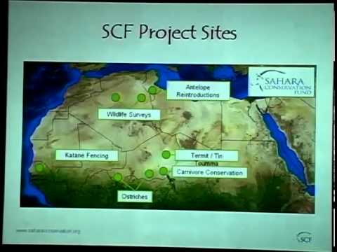 Drying Up: Extinction in the Sahara