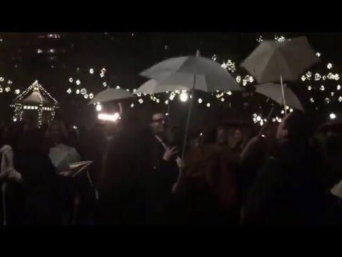 Polish American String Band.